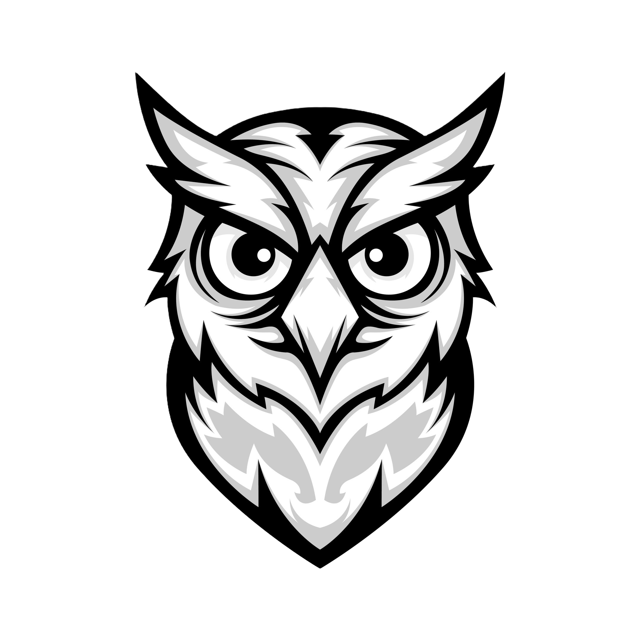 Night Owl