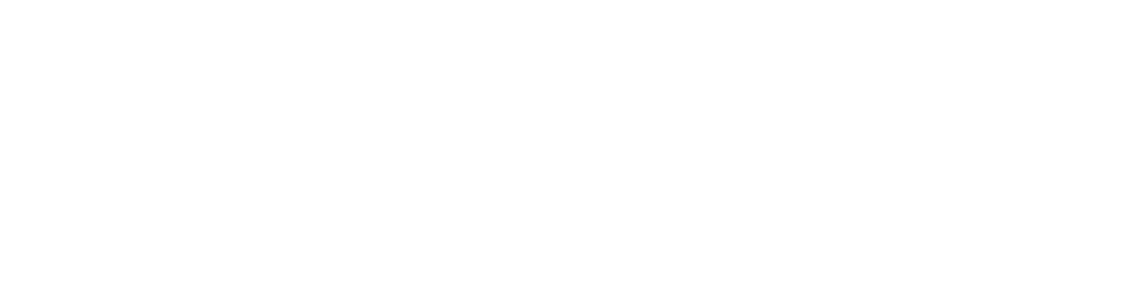WSO2 Logo